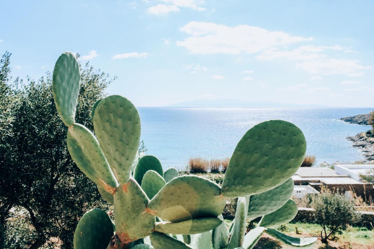 The Elaia House Mykonos Villa ออร์นอส ภายนอก รูปภาพ