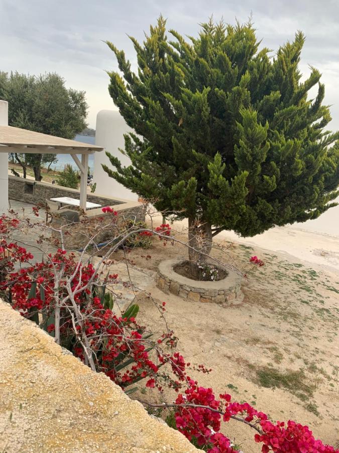 The Elaia House Mykonos Villa ออร์นอส ภายนอก รูปภาพ